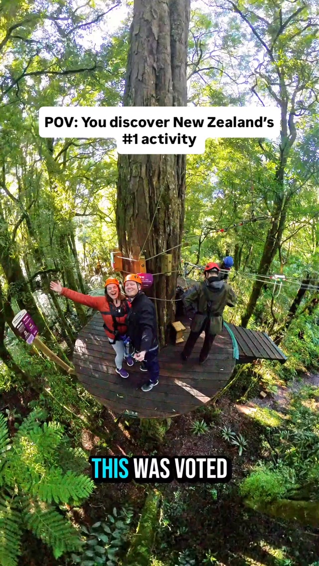 Rotorua Canopy Tours Ziplining Adventure
