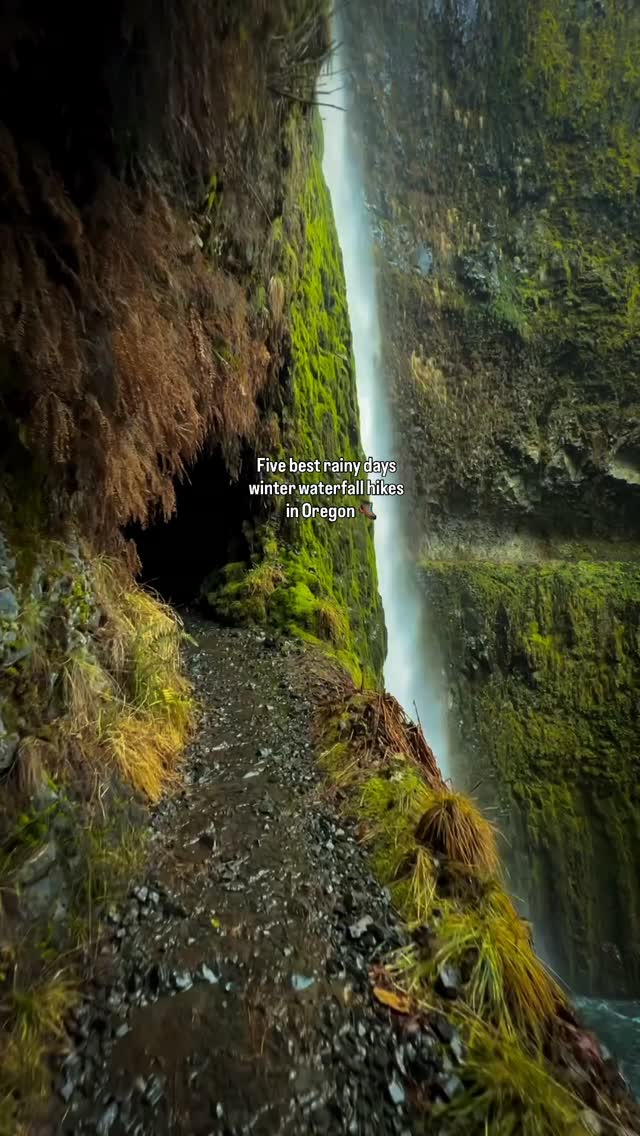 Oregon's Best Waterfall Hikes For A Rainy Day