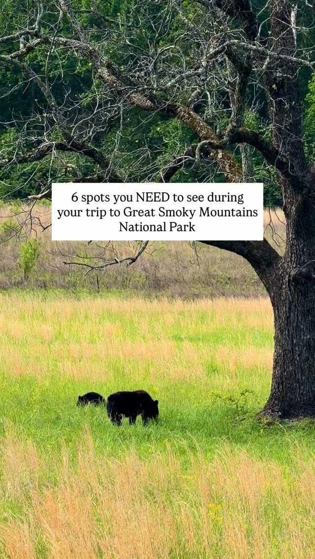 Great Smoky Mountains National Park Highlights