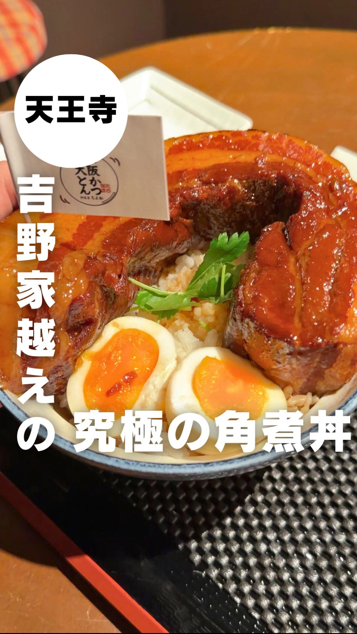 Osaka Tonkatsu Kakuni Don with Tender Braised Pork