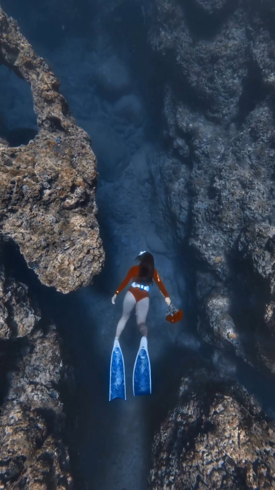 Nha Trang Freediving Tour Highlights Coral Reefs