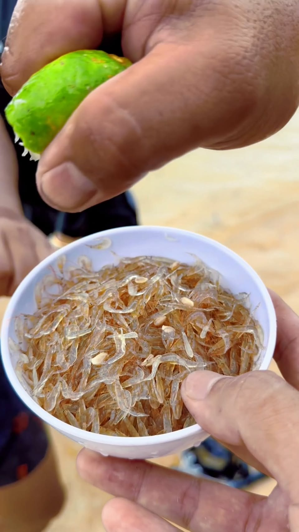 Rach Vem Fisherman Tour: Wild Omakase Seafood Experience