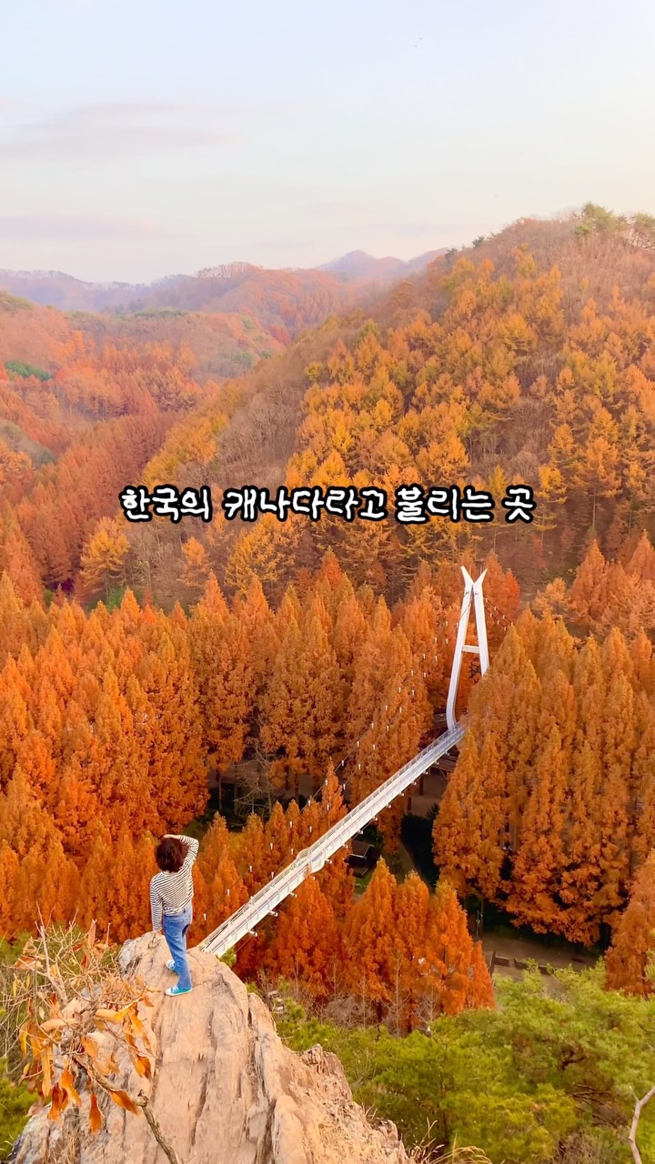 Jangtaesan Recreational Forest's Autumn Beauty