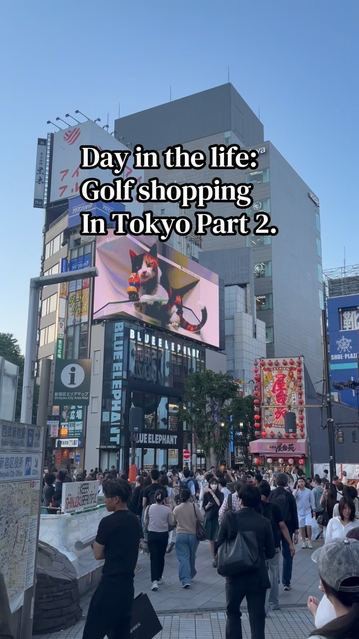 Tokyo Adventures: Golf Shopping and City Views