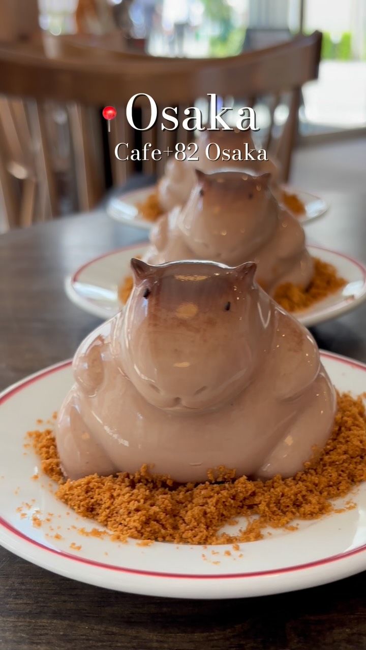 Osaka Cafe Features Adorable Capybara Chocolate Pudding