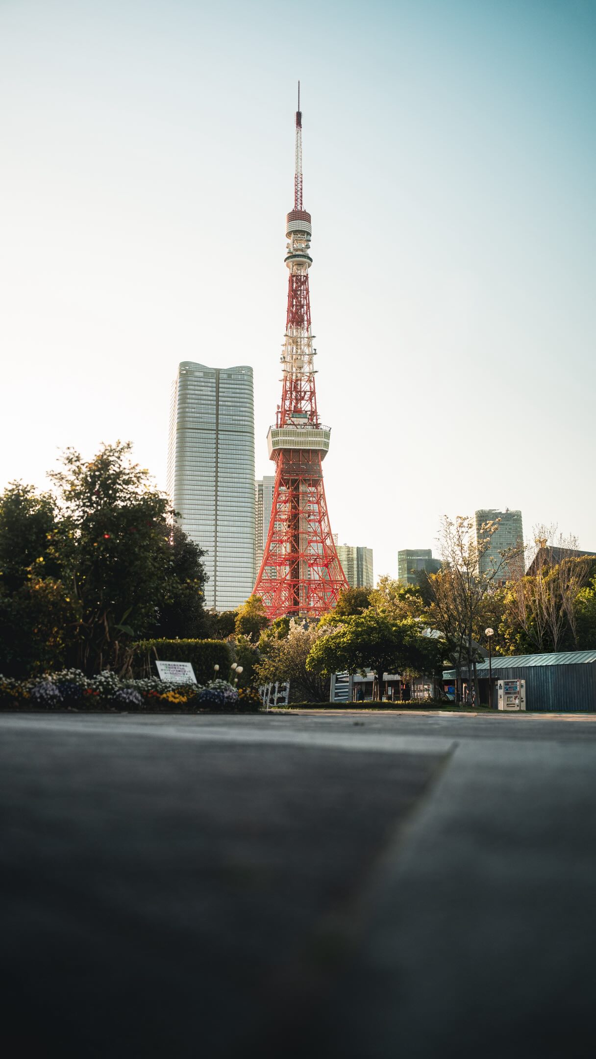 Tokyo's Vibrant Districts: Minato, Shibuya, and Tsukiji