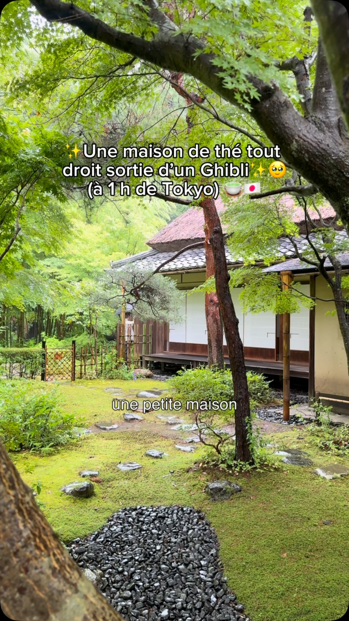 Ichijo Ekan Sanso: Japanese Garden And Tea House