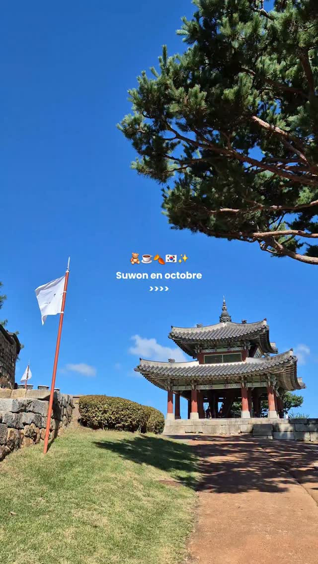 Suwon Hwaseong Fortress Day Trip