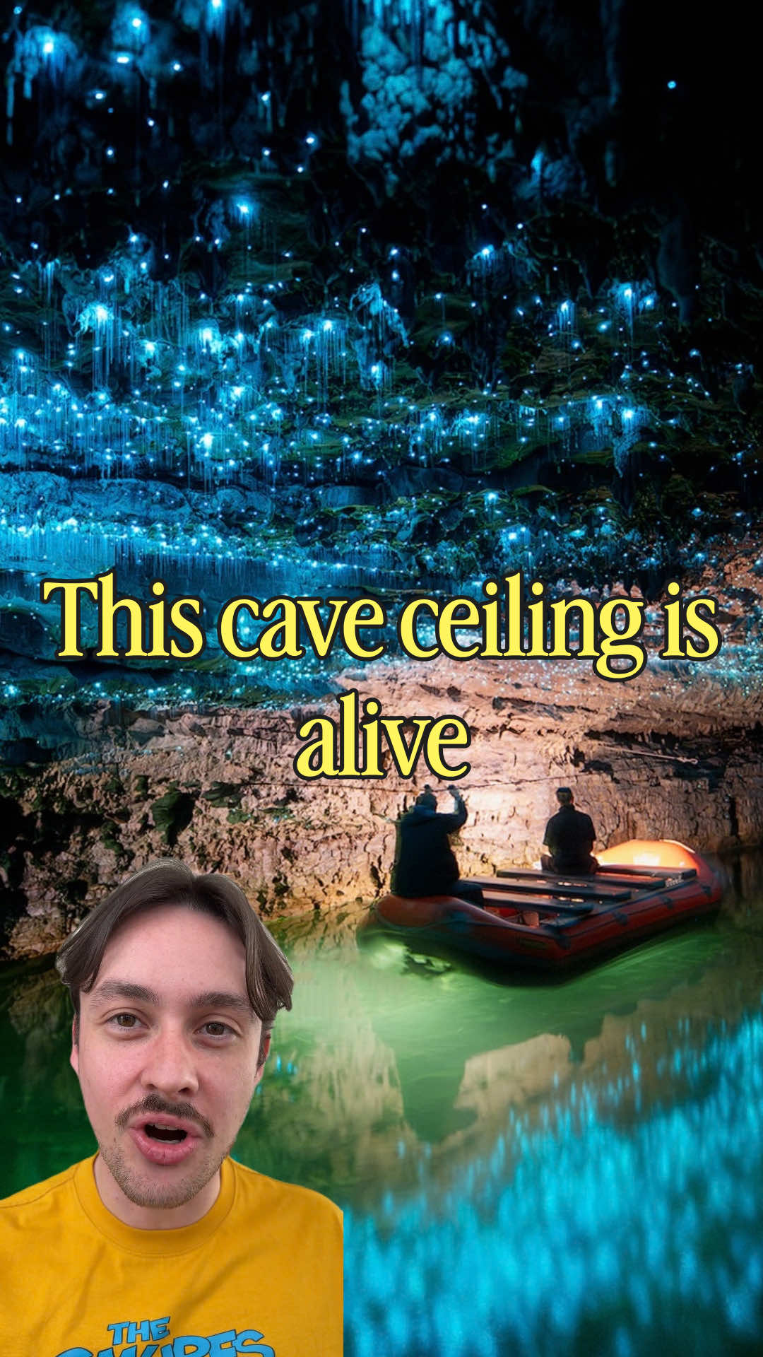 New Zealand Glowworm Caves And Hobbiton Movie Set