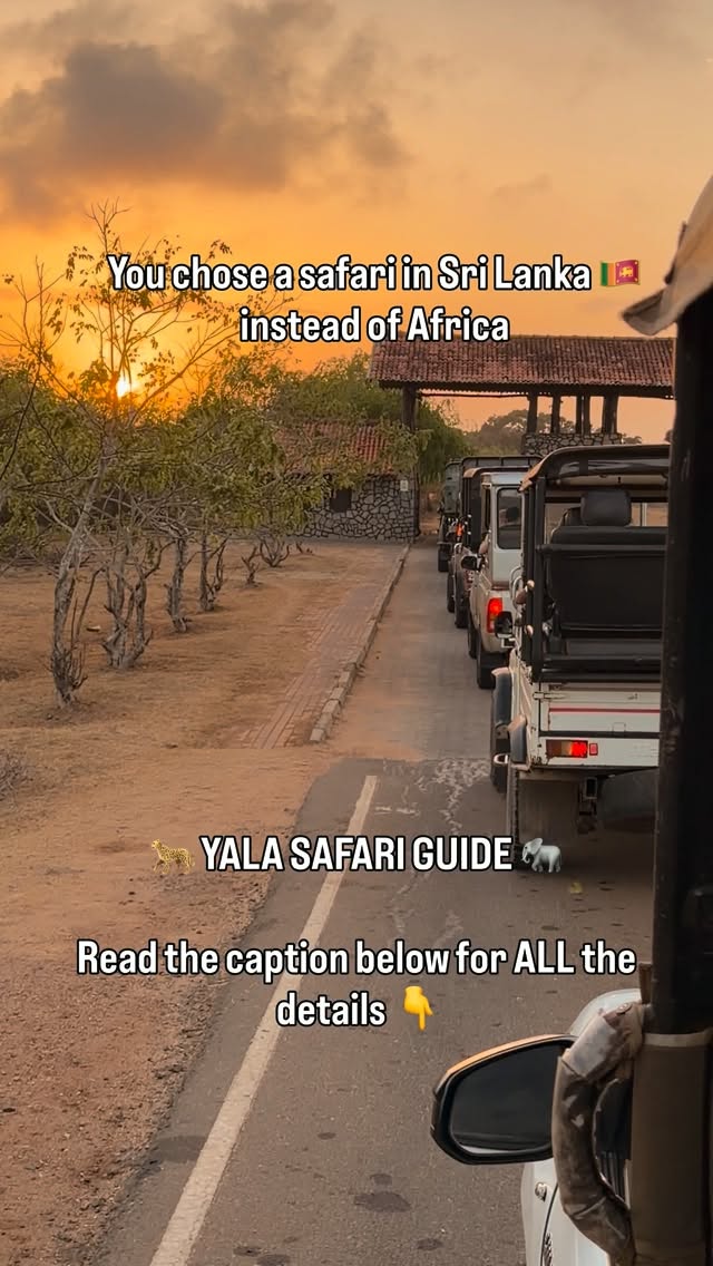 Sri Lanka Safari: Yala National Park Wildlife Adventures
