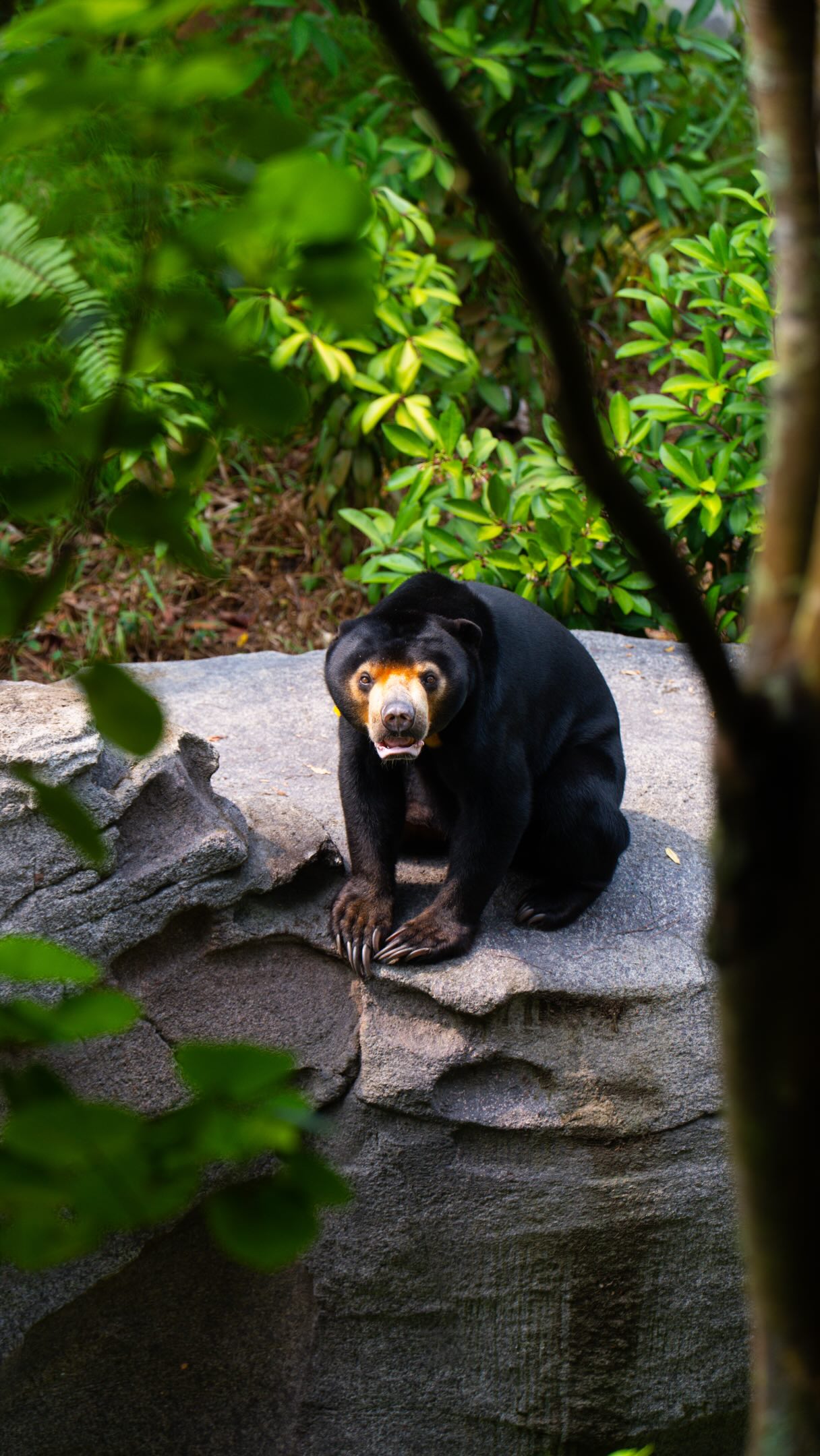 Singapore Wildlife Park Adventure and Cave Dining