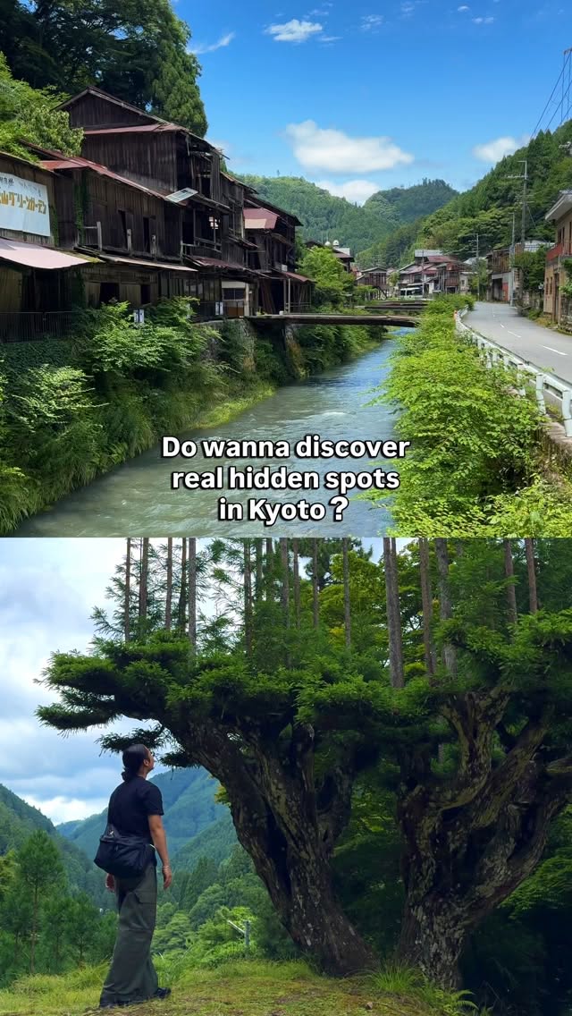Kyoto's Ancient Forests, Tea Farms, and Golden Pavilion