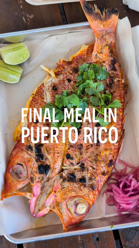Puerto Rican Food Truck Delights