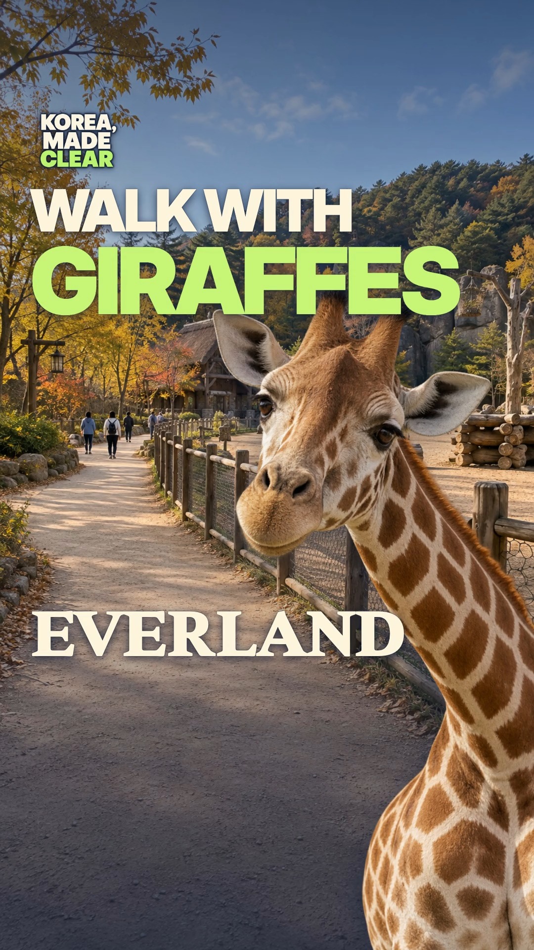 Everland Theme Park Attractions South Of Seoul