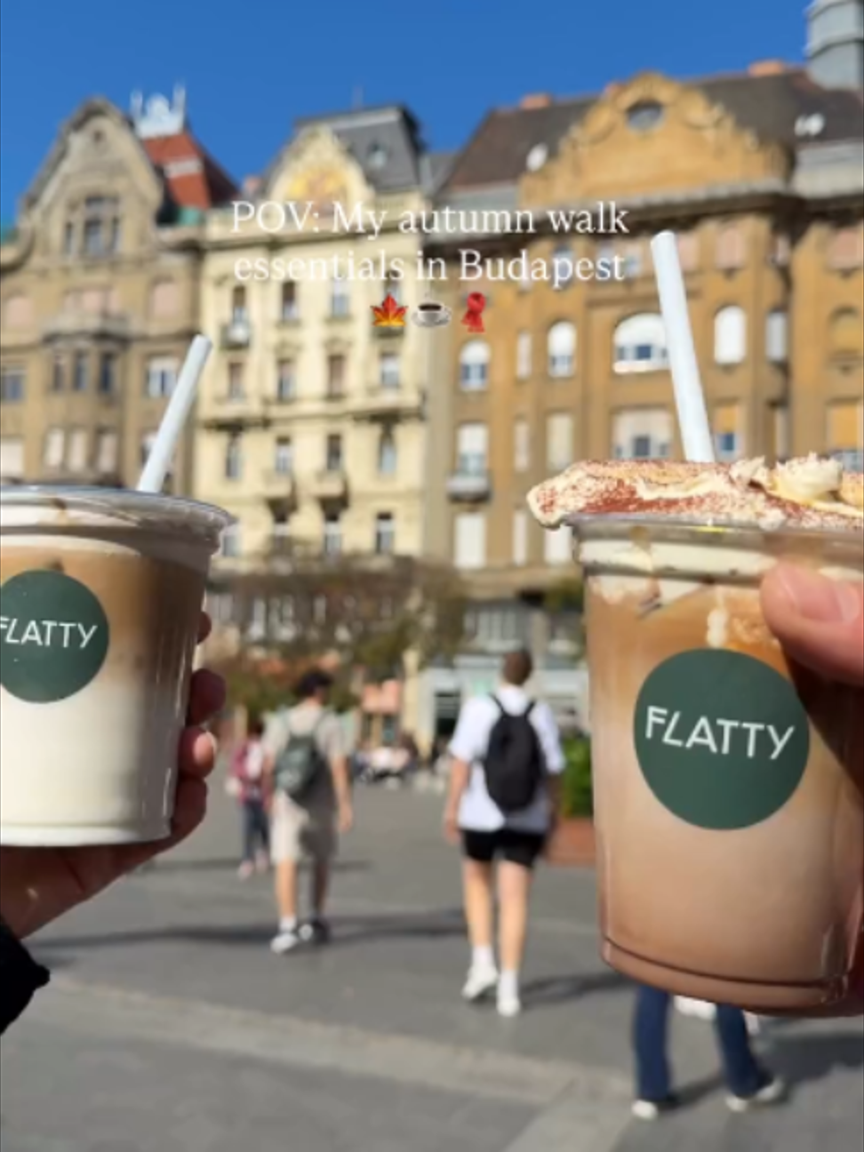 Budapest Autumn Walk: Danube River and Flatty Coffee