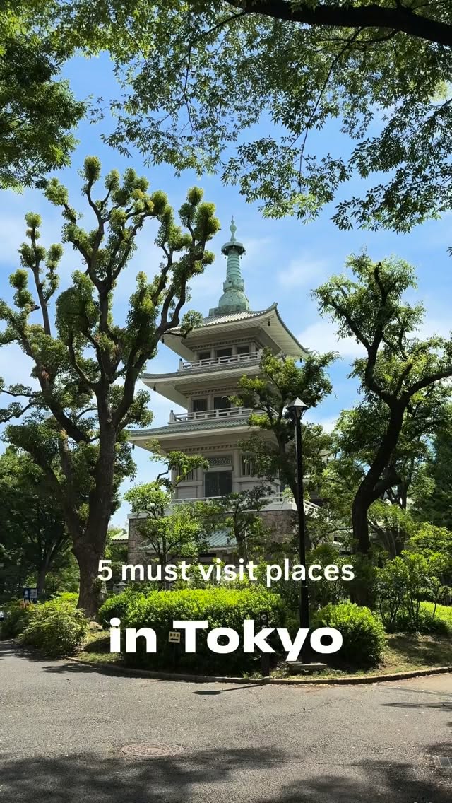 Tokyo's Unique Experiences Beyond Tourist Hotspots