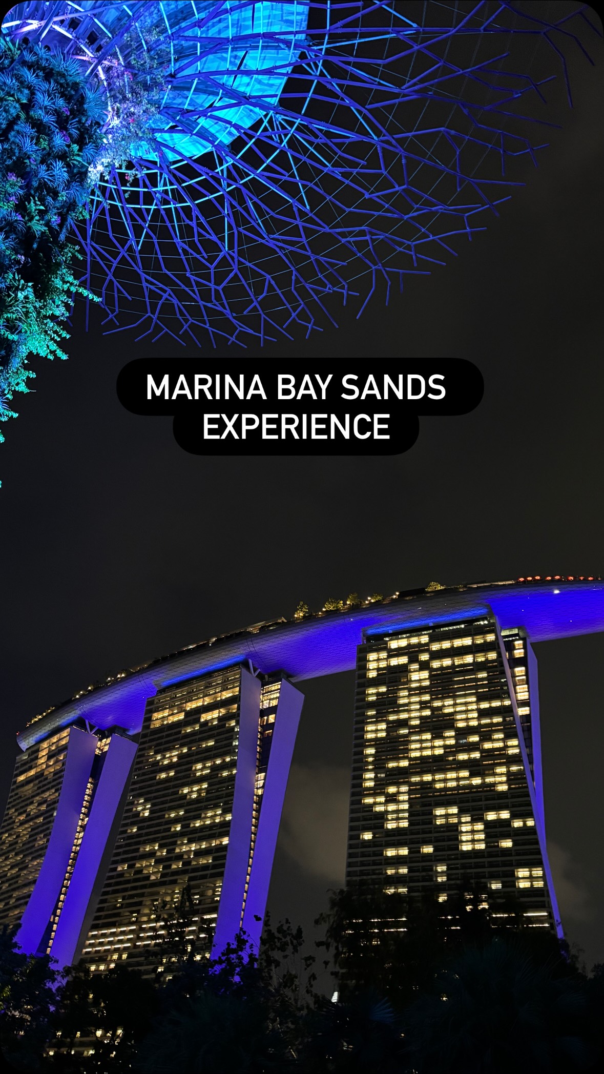 Marina Bay Sands Hotel and Gardens by the Bay