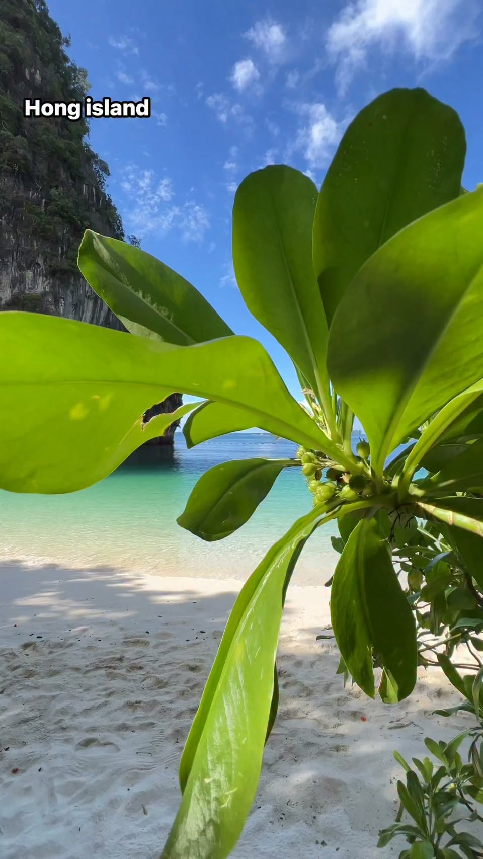 Hong Island: Tranquil Morning Beach Paradise