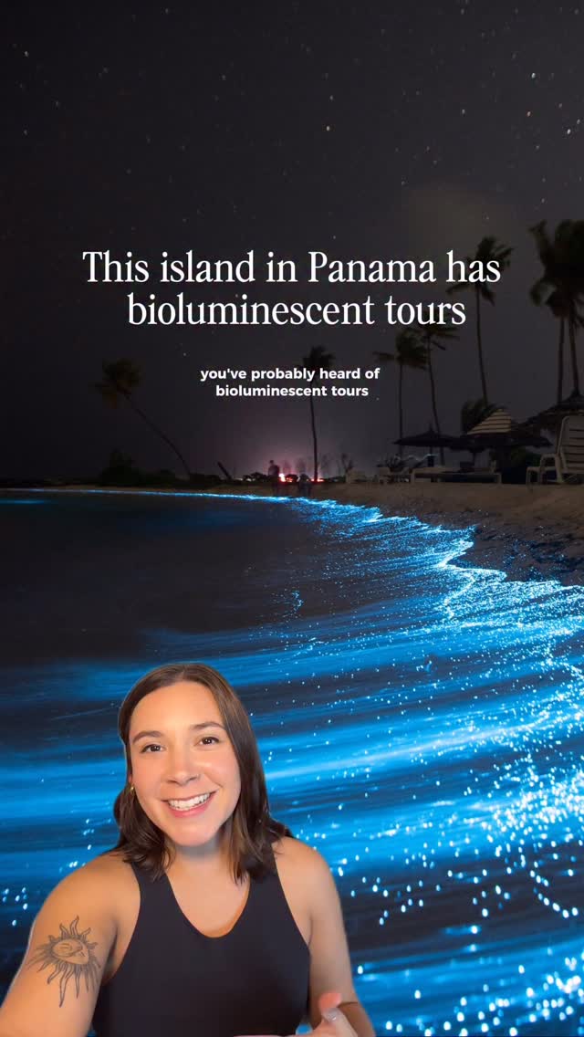 Bioluminescent Night Swims In Bocas Del Toro