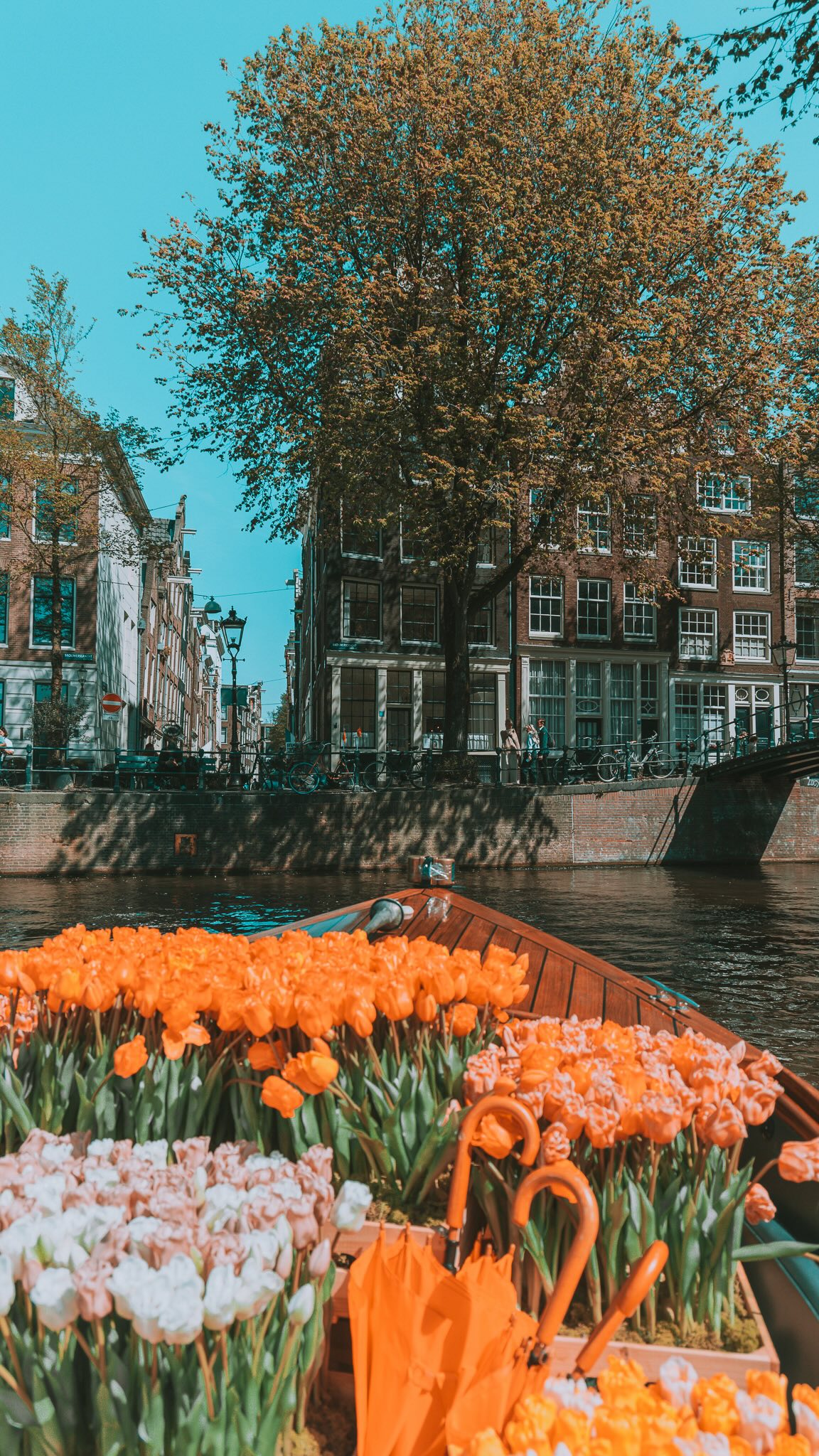 Netherlands Tulip Season Experiences Beyond Amsterdam
