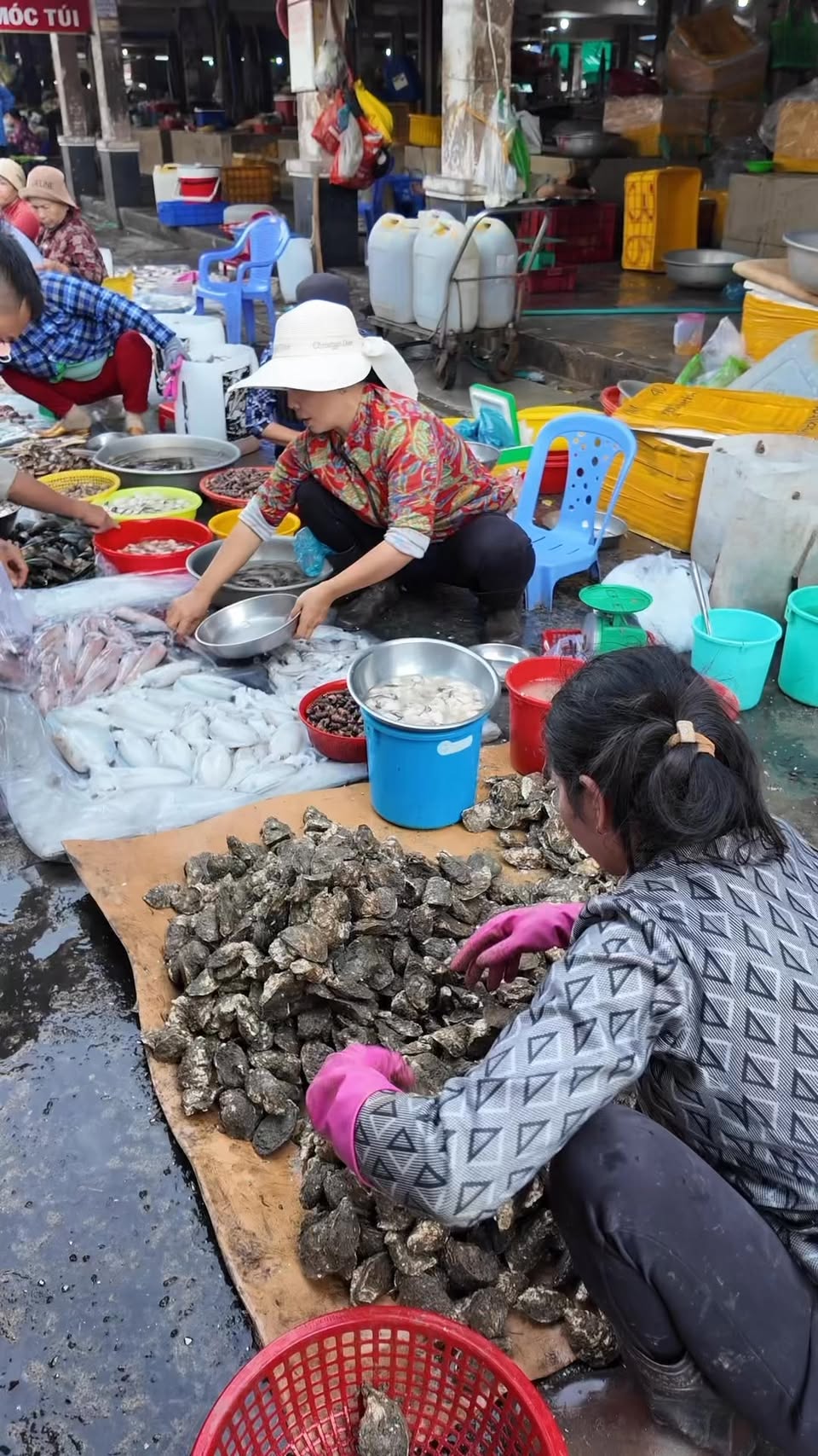 Long Hai Food Tour: Market Delights to Seafood Feasts