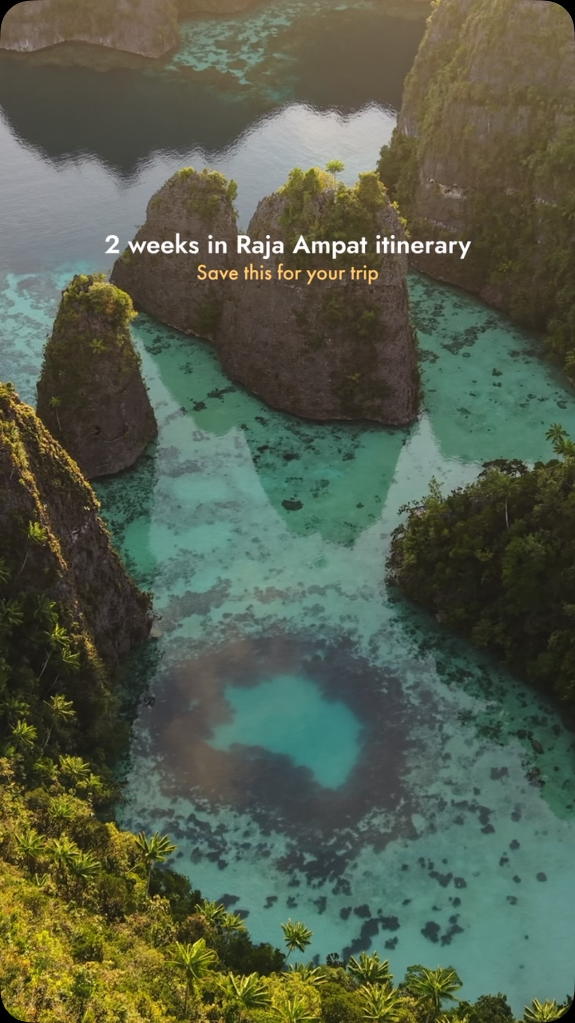 Raja Ampat Islands: A Two-Week Diving and Wildlife Adventure