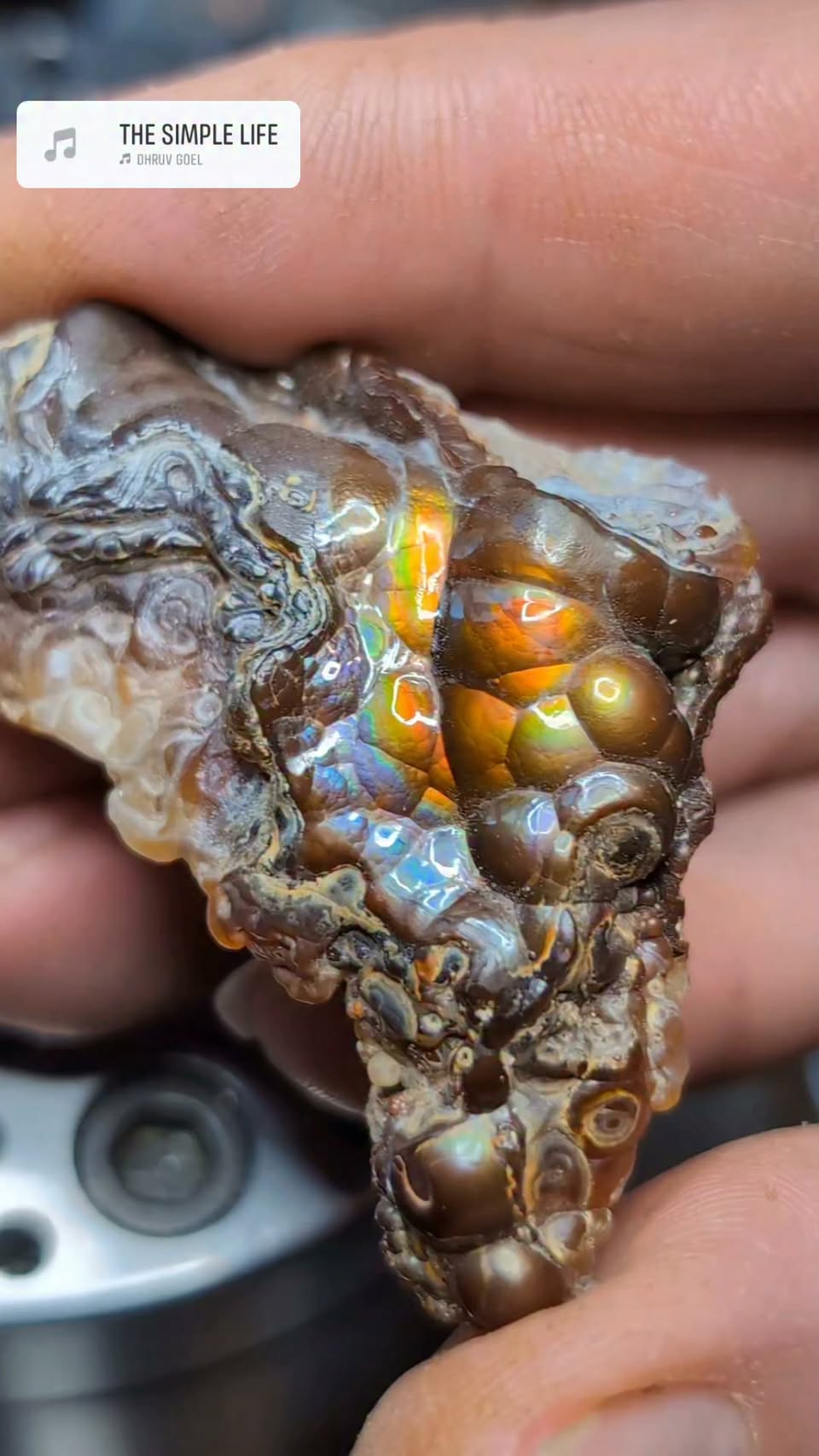 Agate and Opal Finds at Deer Creek