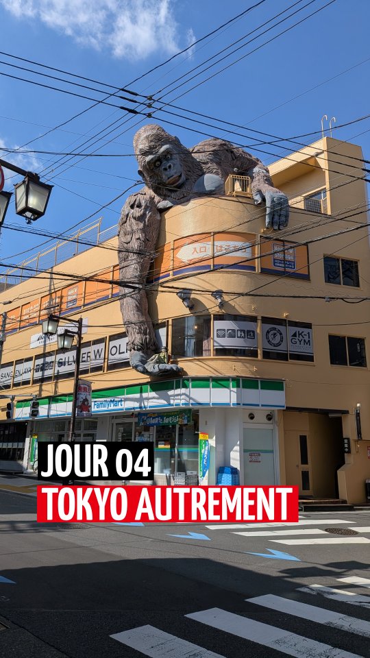 Hidden Tokyo Gems: Temples, Shrines, and Charming Streets