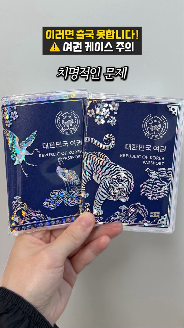 Daiso Pen Case as a Passport Holder