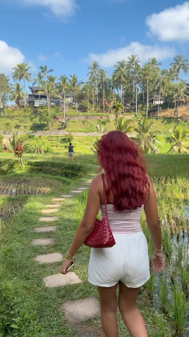 Bali Rice Terraces and Tropical Cafes