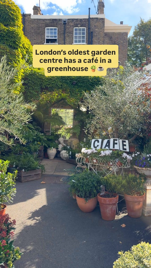 London's Oldest Garden Center And Greenhouse Cafe