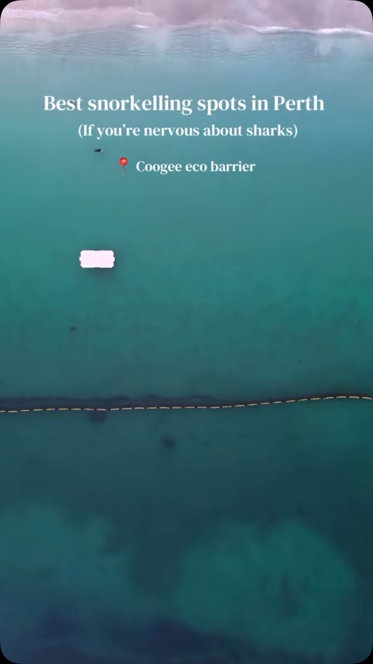 Perth's Coogee Beach Eco Barrier For Safe Snorkeling
