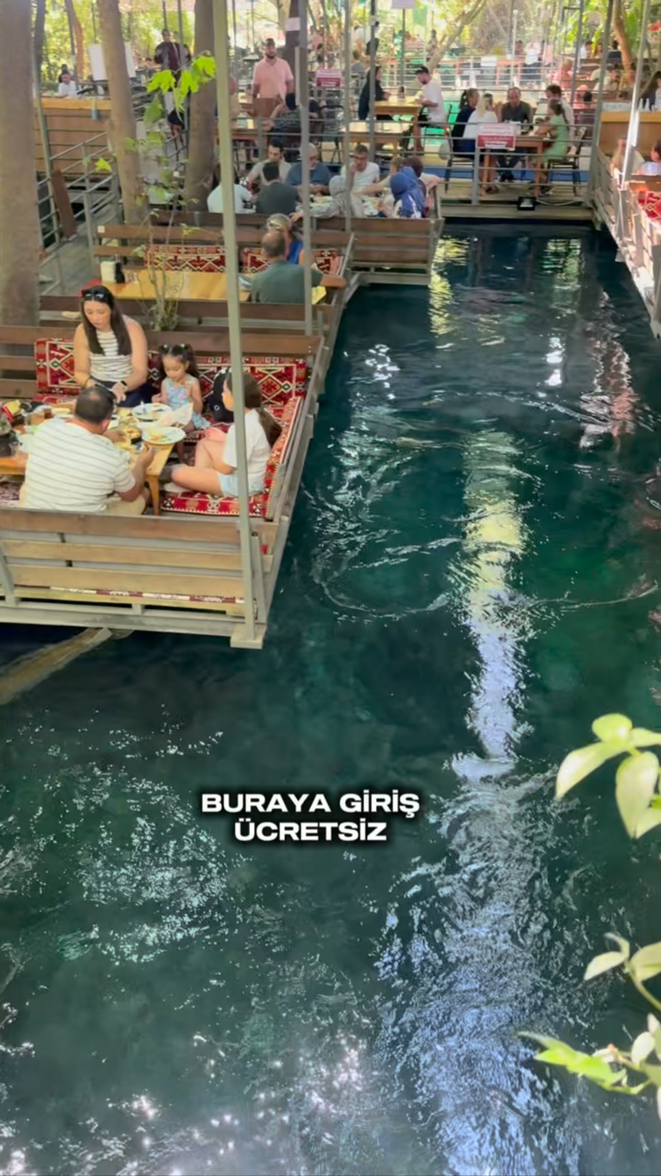 Restaurants With Feet-In-The-Water Dining