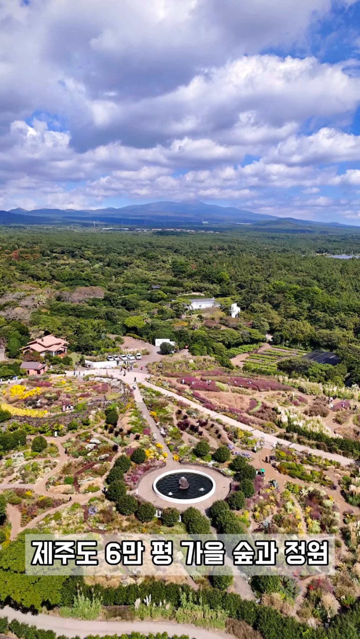 Jeju Island Autumn Scenery: Gardens and Hallasan