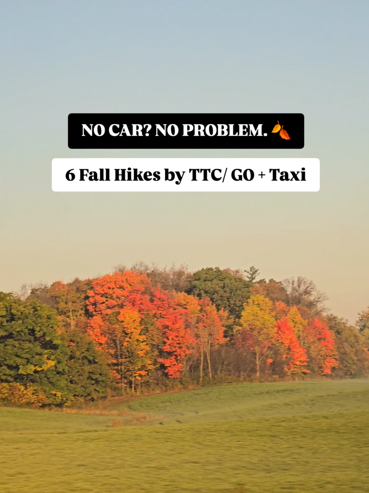 Accessible Ontario Hiking Spots For Fall Colors