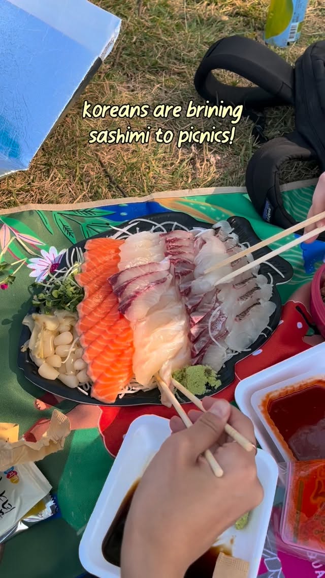 Sashimi Picnic Date at Han River Parks