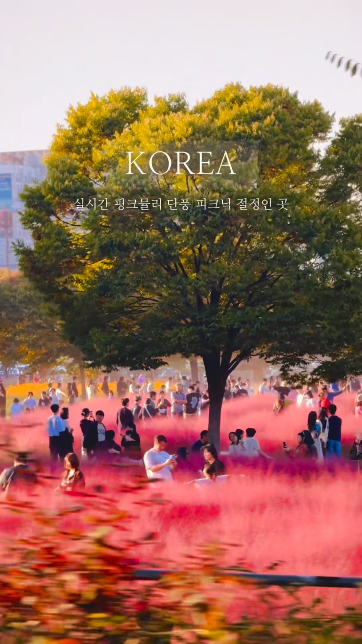 Autumn Picnic Spot with Pink Muhly Grass