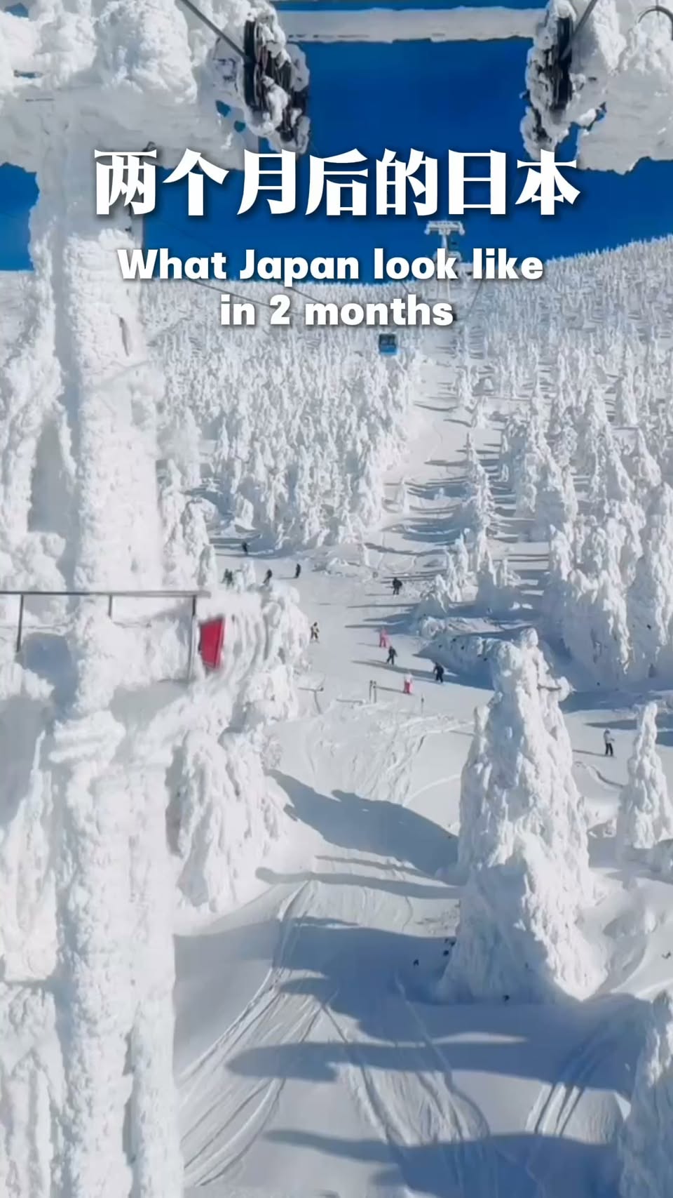 Japan's Snowy Scenery: A Winter Travel Guide