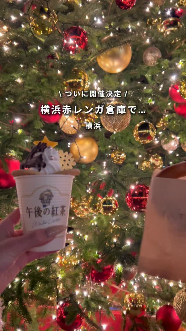 Yokohama's Festive Christmas Market