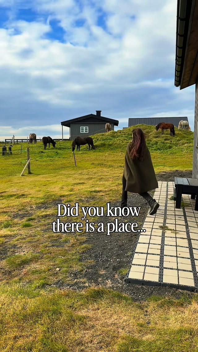 Icelandic Farm Stay With Horseback Riding Tours