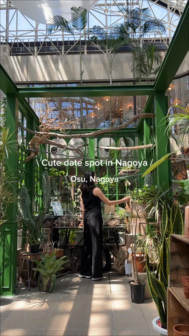Brioche Go: Nagoya Cafe With Greenhouse Interior