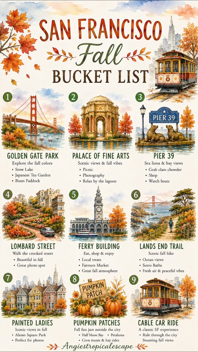 Nine San Francisco Spots For A Fall Visit