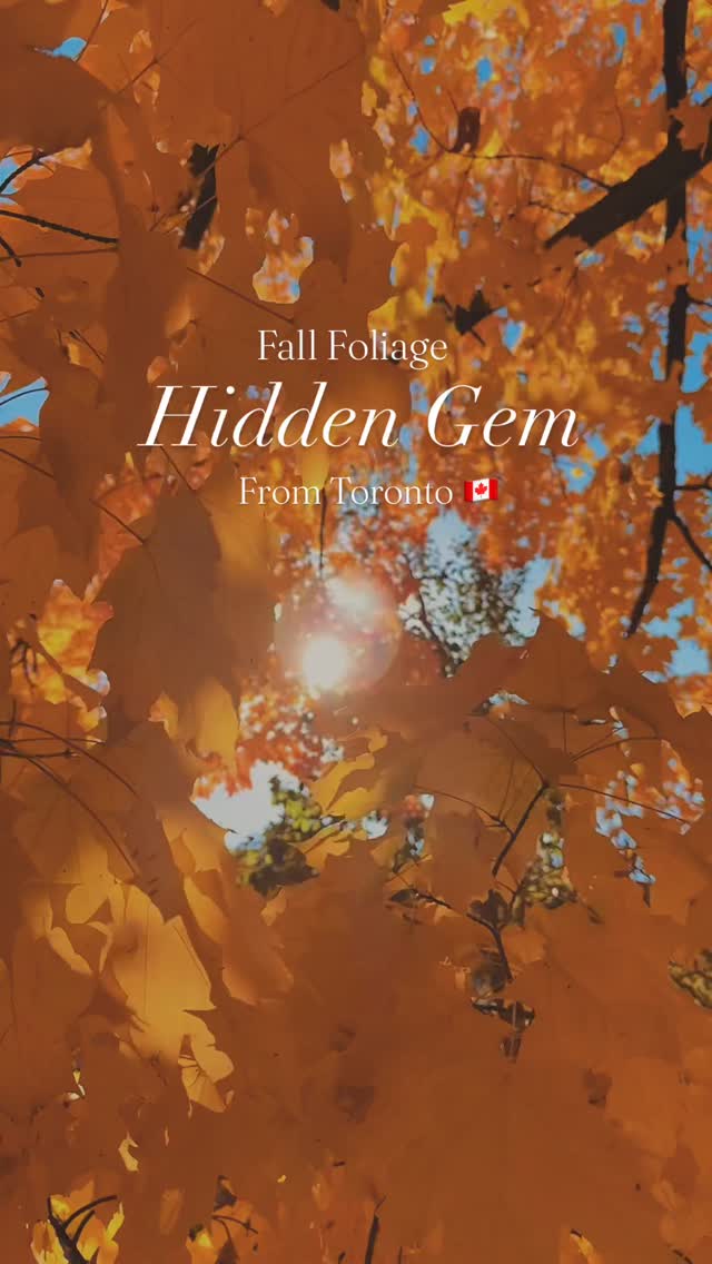 Toronto Area Fall Foliage Viewing Spots