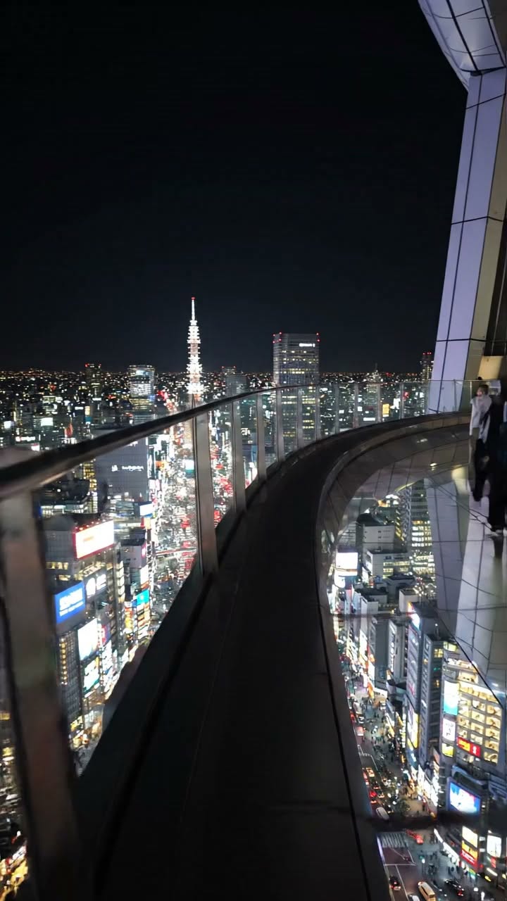 Tokyo Tower Observation Deck Views