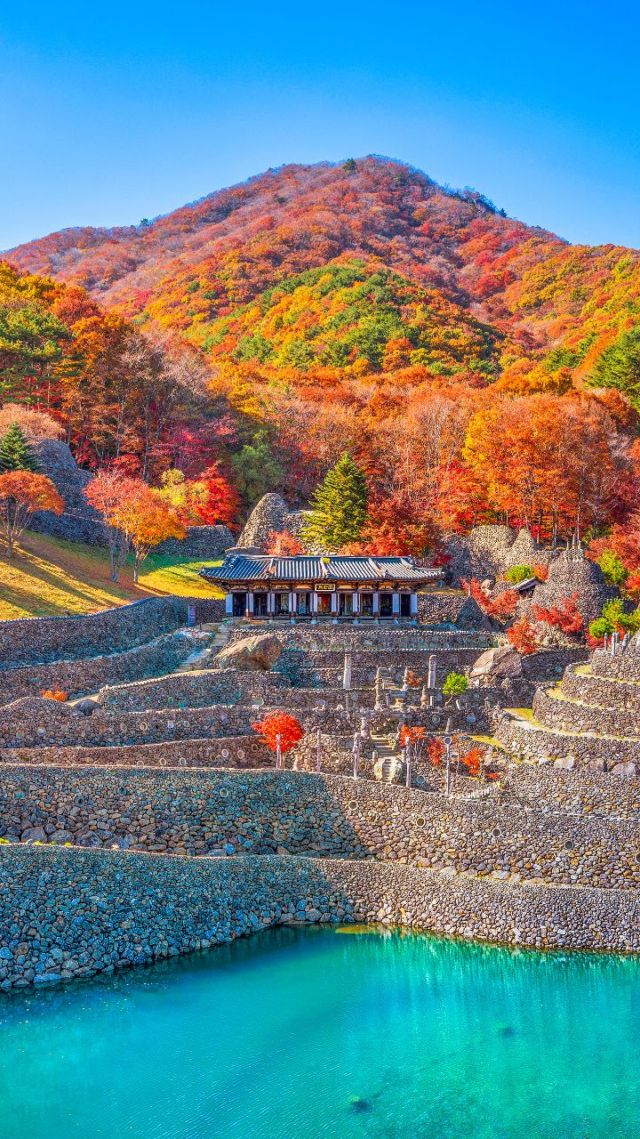 Hadong Samsunggung's Autumn Foliage Display