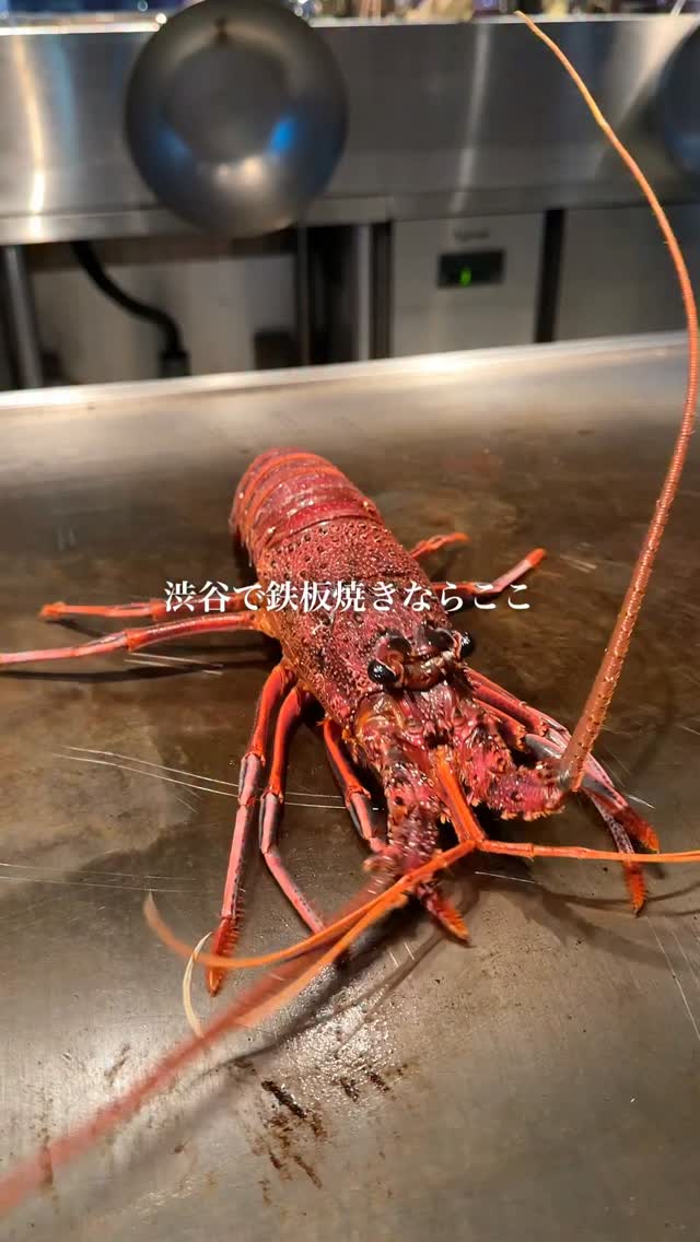 Shibuya Teppanyaki Restaurant Offers Lobster and Steak