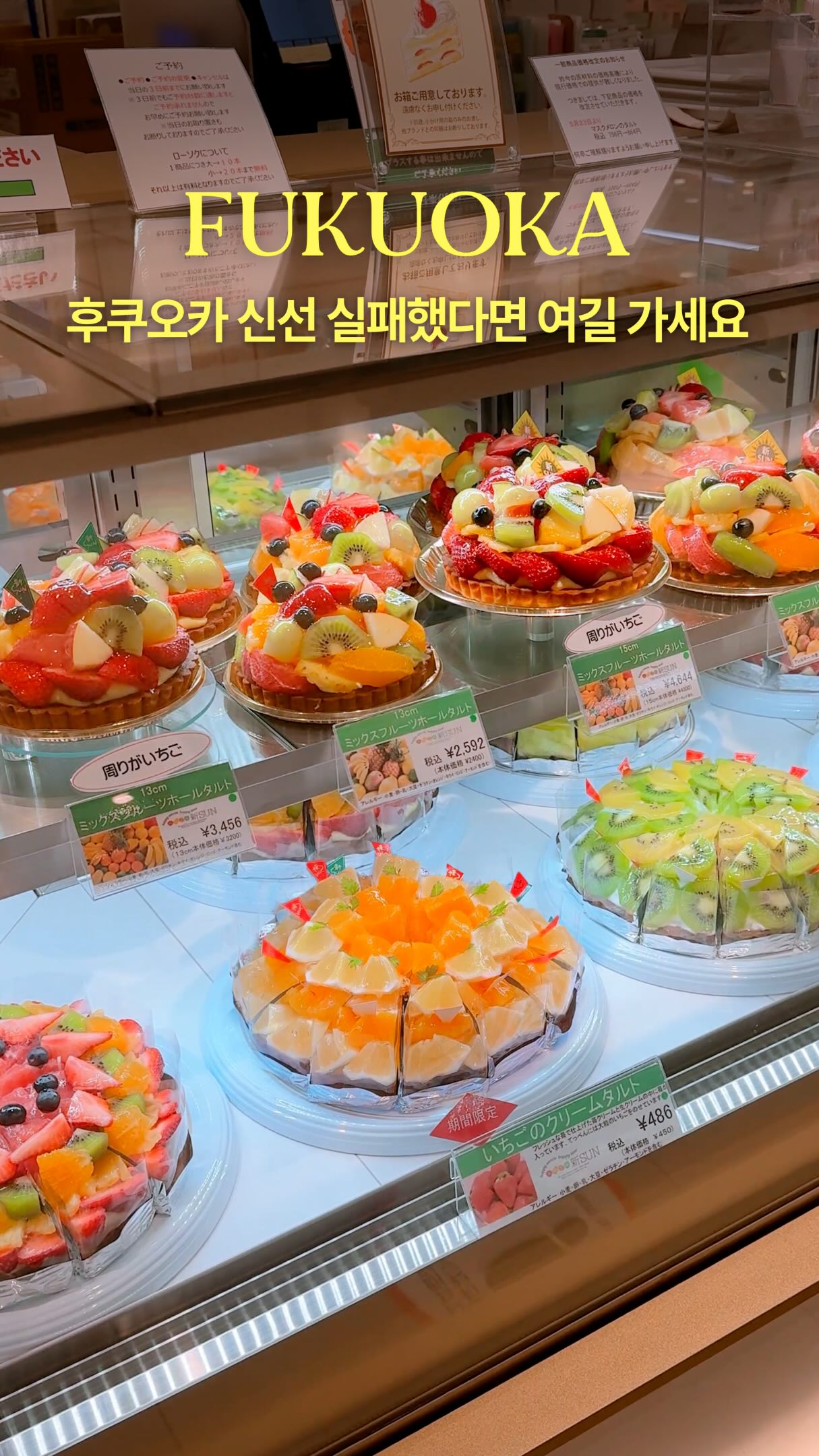 Fukuoka Department Store's Sweet Fruit Tarts