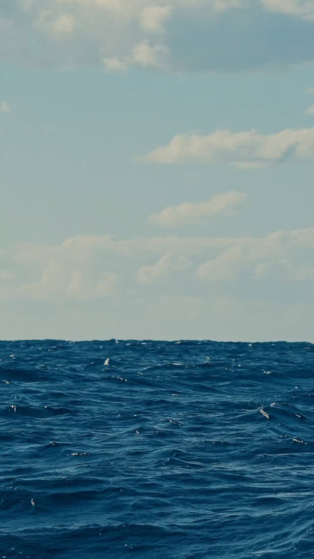 Whale Watching Season In Byron Bay