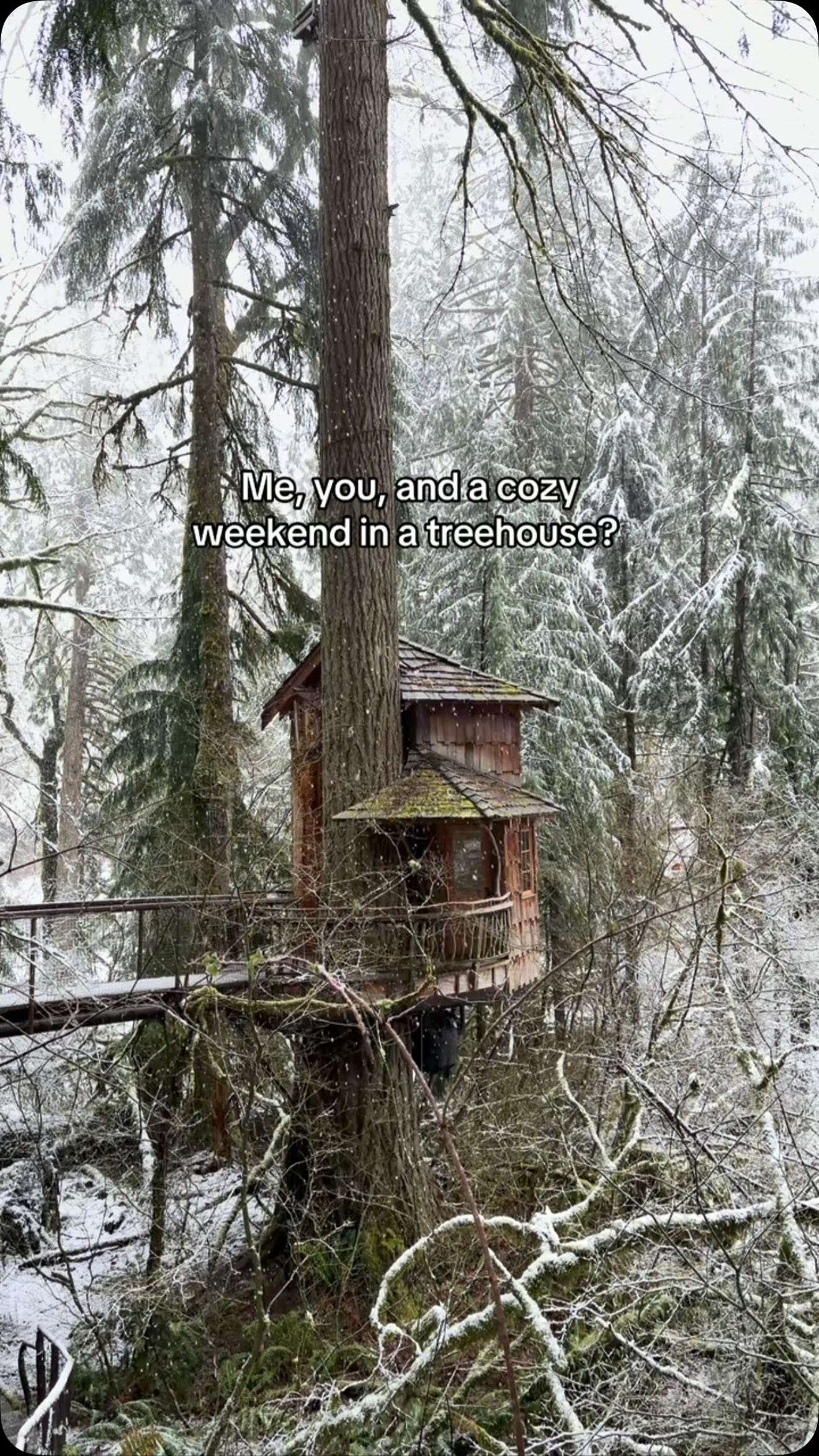 Cozy Snowy Treehouses For A Winter Escape