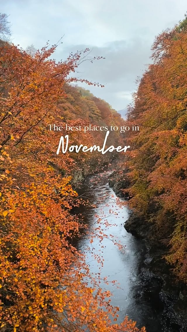 UK National Parks Perfect for Autumn Dog Walks